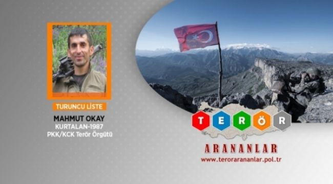 Muş'ta 1 milyon TL ödülle aranan terörist yakalandı
