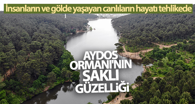Aydos Ormanı'nın ‘saklı güzelliği' olan göle akan atıklar ve kirli sular canlıları tehdit ediyor