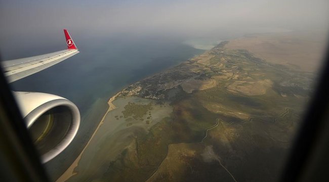 Son dakika... THY çevre duyarlılığı sayesinde binlerce ağacı kurtardı