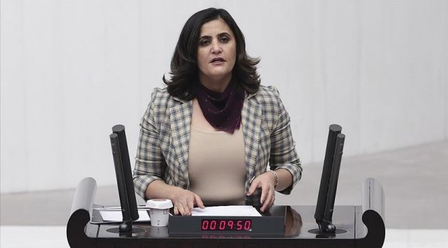 HDP’li Taşdemir'i Gara’da gördüğünü söyleyen teröristin ifadesi ortaya çıktı