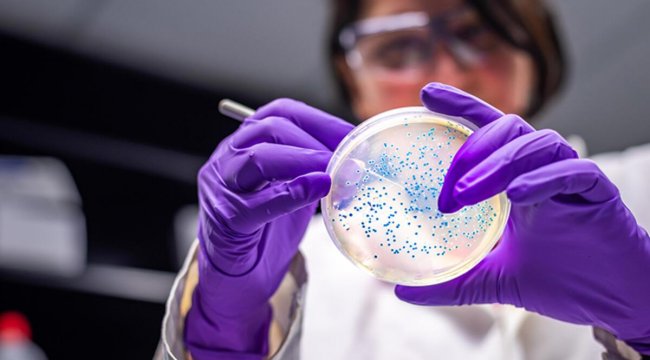 Korkutan uyarı: Çiftliklerde antibiyotik kullanımı Kovid’den çok daha büyük bir salgına yol açabilir!