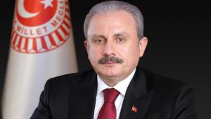 TBMM Başkanı Mustafa Şentop'tan HDP'li vekil Güzel hakkında açıklama