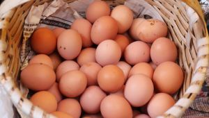 'Bozuk yumurta' davasında market sahibine örnek ceza