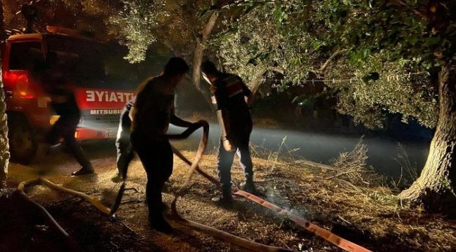 Dalaman'da ormanlık alanda yangın! Çok sayıda ekip müdahale etti