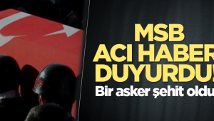 MSB acı haberi duyurdu: 1 şehit