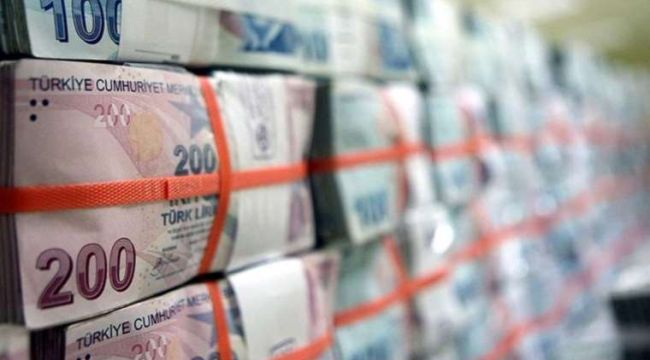 Hazine 17,6 milyar lira borçlandı