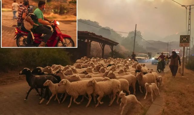 İzmir'deki yangınlar 3 noktada sürüyor! Alevlerin sardığı ilçeyi böyle terk ettiler