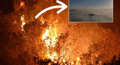 Orman yangınlarında son durum: 3 ilde 4 yangın sürüyor